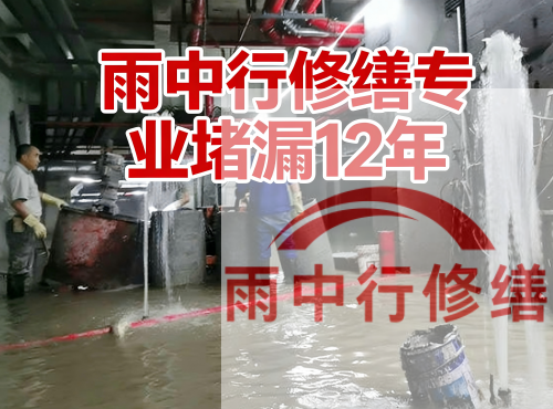 河西中国五矿某大型污水处理厂堵漏案例